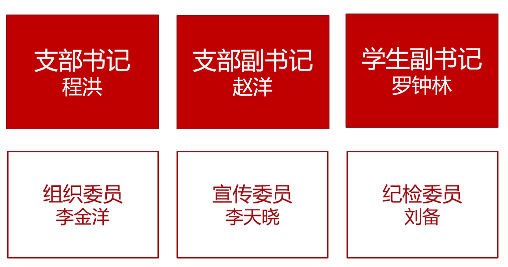 支部组织结构.jpg